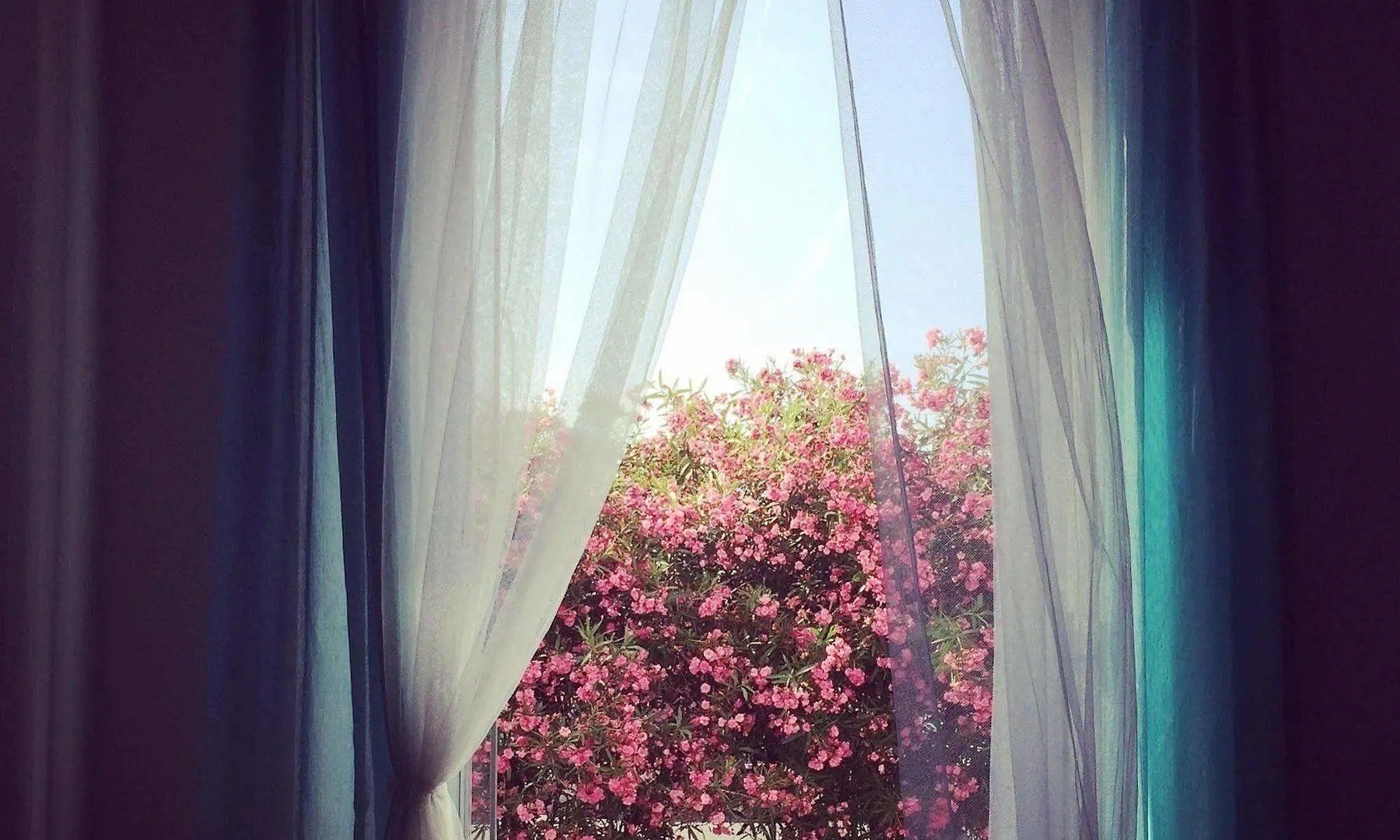 Ariadimare Janov Bed & Breakfast
